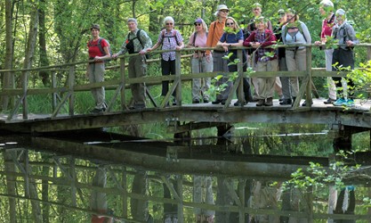 Brücke über die Schaale am Südufer des Schaalsee