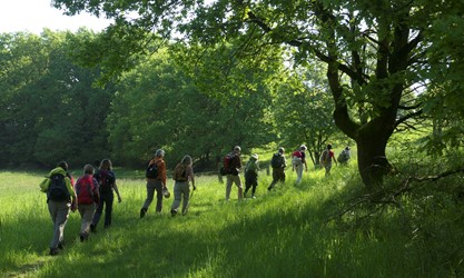 Am Südostufer des Schaalsee (So, 21.5.17)