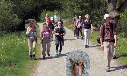 Auf dem Weg zum Neuenkircher See, Schaalseeregion (So, 21.5.17)