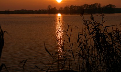 Abendstimmung über der Elbe bei Tesperhude