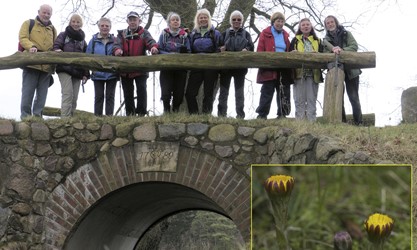 Wanderung: Maschen Buchwedel Horster Mühle