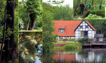 Wanderung: Este-Oberlauf. Alte Mühle bei Bötersheim