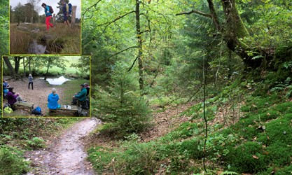 Wanderung: Lohberge. Kleine Bilder: Büsenbach / An der Este