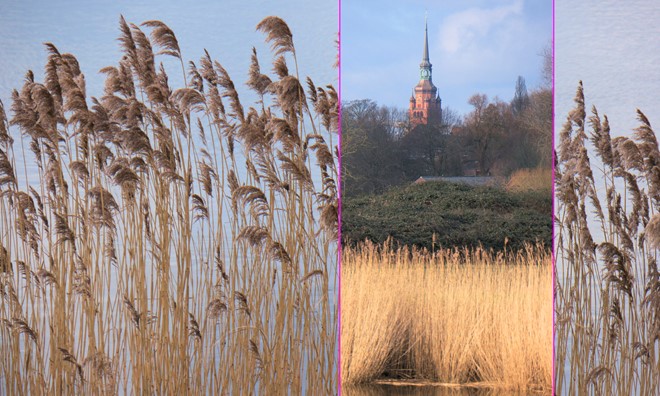 An der Stör bei Itzehoe